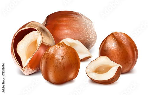 Hazelnuts with leaves.