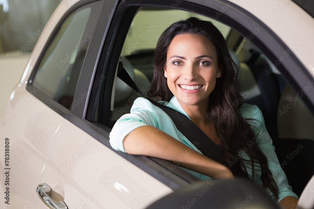 Smiling woman sitting at the wheel of her new car Smiling woman sitting at the wheel of her new car