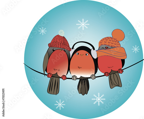 bullfinches