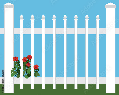 Flowers in Fence