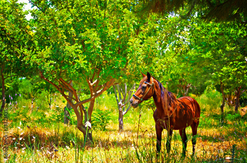 Digital painting of a chestnut horse out grazing in a field