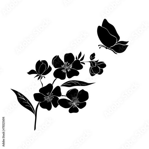 twig cherry blossoms and butterflies