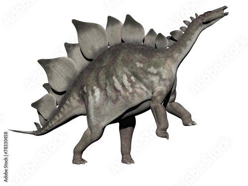 stegosaurus dinosaur - 3d render © Mariephotos
