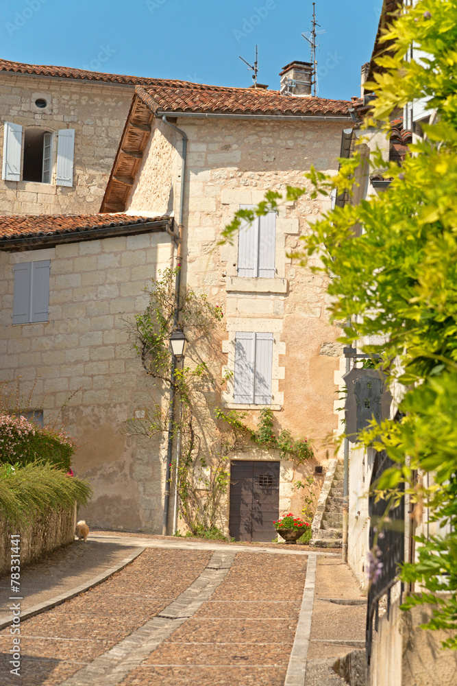 Naklejka premium Concrete Pathway Towards Vintage Tall House