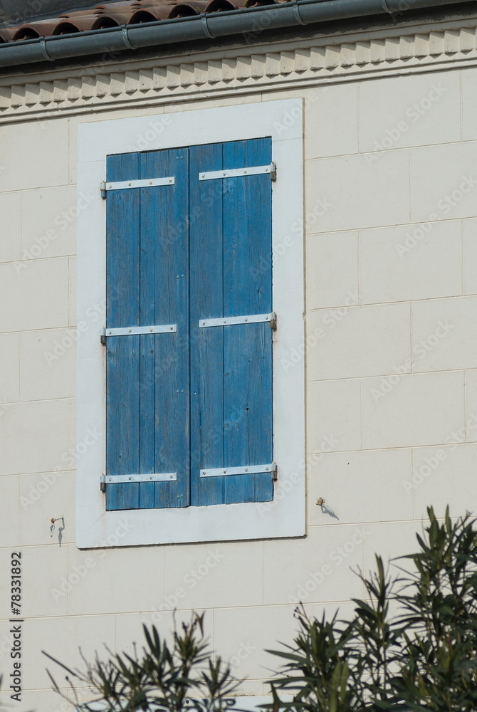 Fototapeta premium Volets bleus