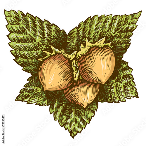 Three hazelnut