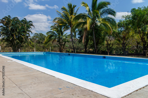 pool outdoors with tropical palm © carles