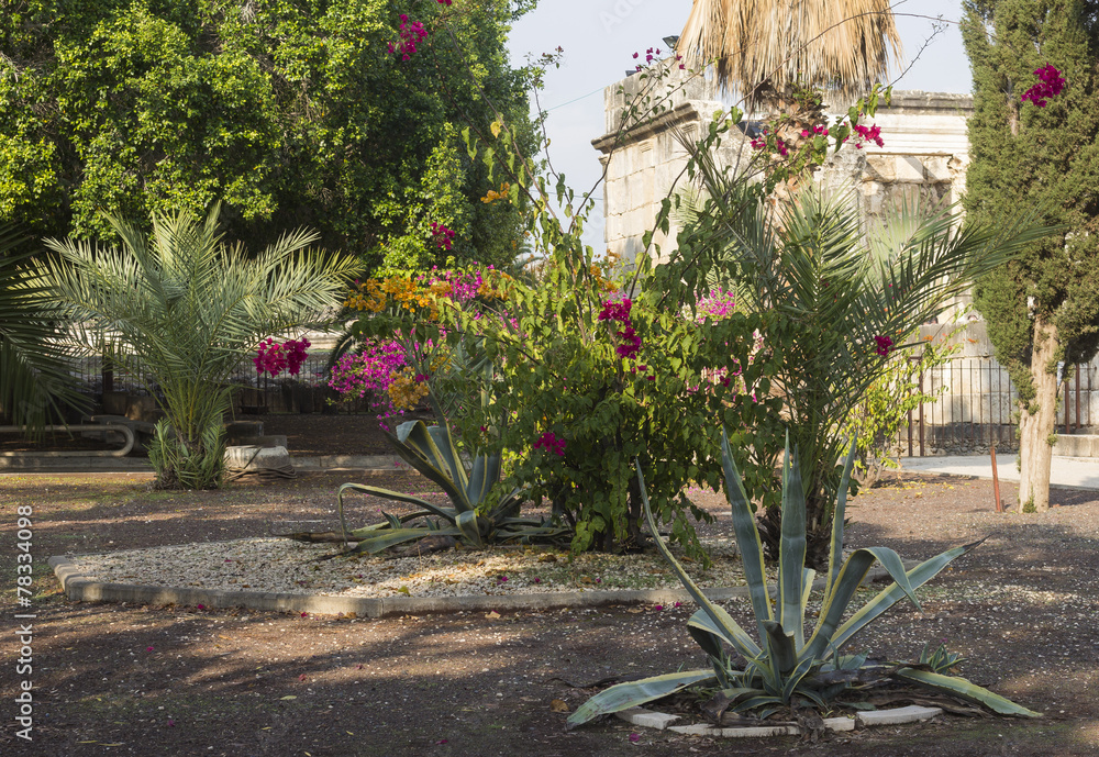 Obraz premium flowerbed