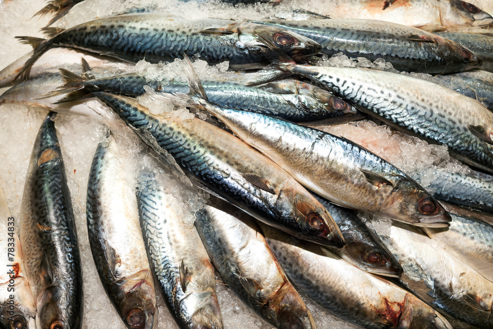Obraz premium Raw and fresh seafood on the ice