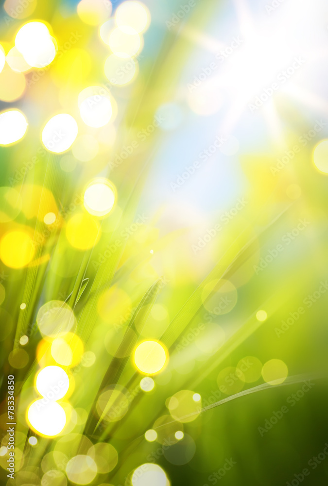 Obraz premium abstract spring background