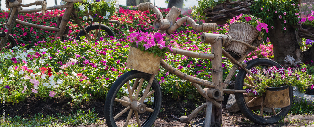 beautiful flower in garden