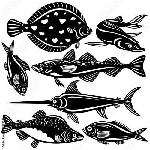 Fish