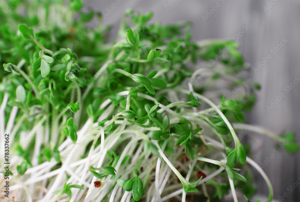Fresh cress salad on napkin and blurred wooden planks Fresh cress salad on napkin and blurred wooden planks