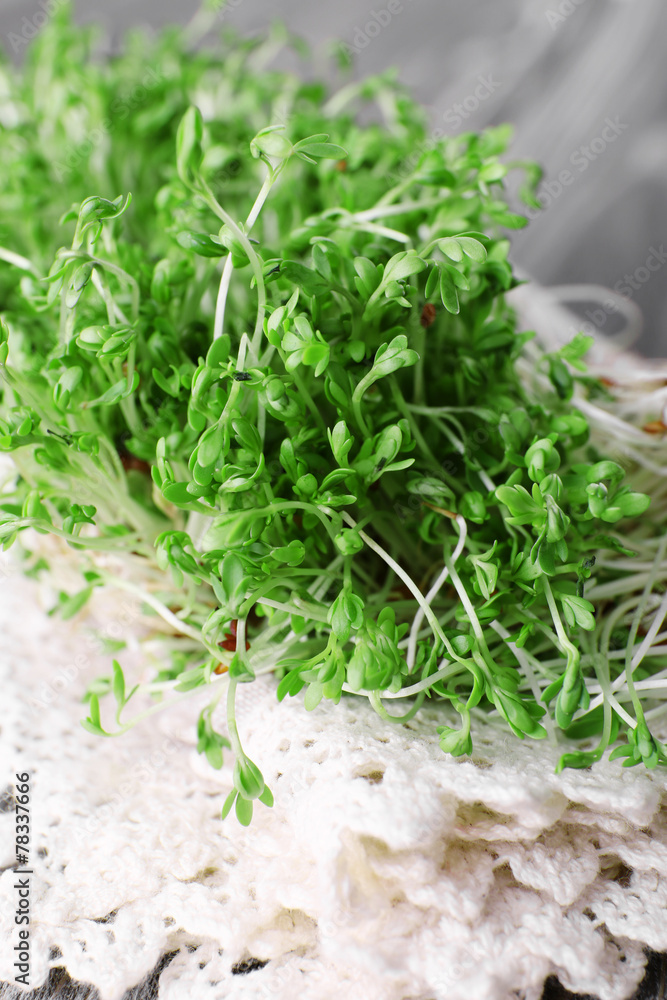 Fresh cress salad on napkin and blurred wooden planks Fresh cress salad on napkin and blurred wooden planks