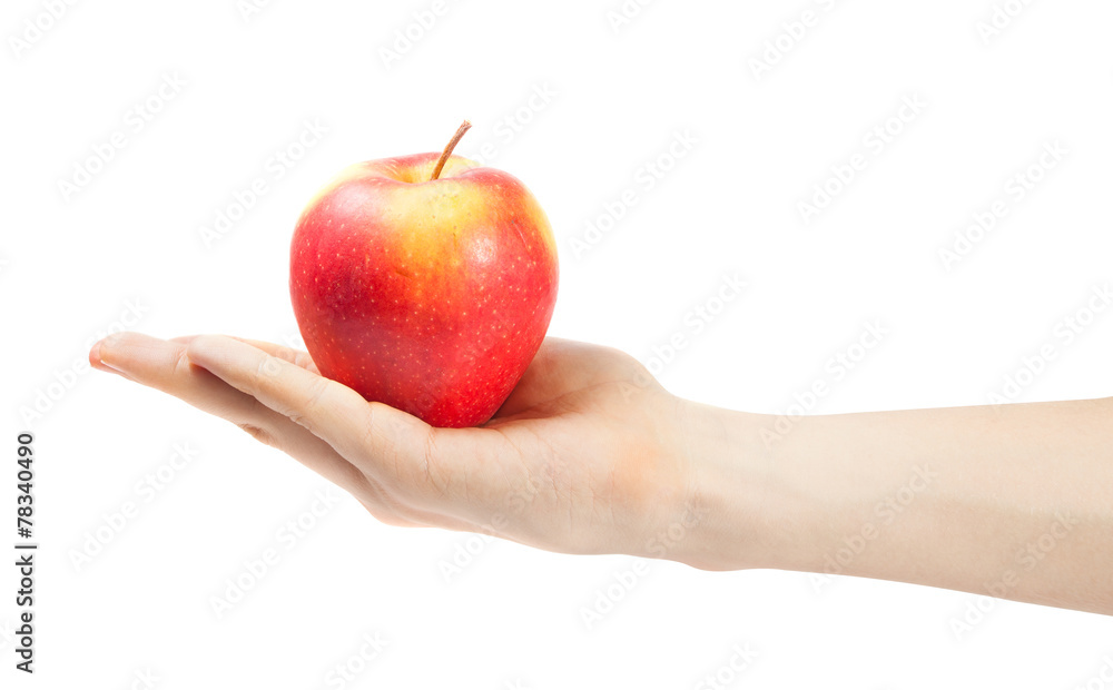 hand holding apple isolated on white background hand holding apple isolated on white background