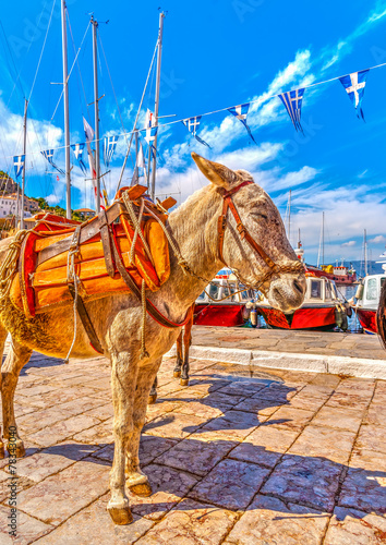mules for tourists at the port of Hydra island in Greece. HDR