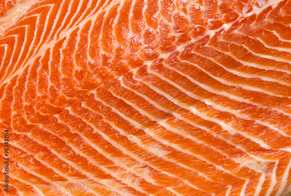 meat fish salmon eating fillet fish food meat fish salmon eating fillet fish food