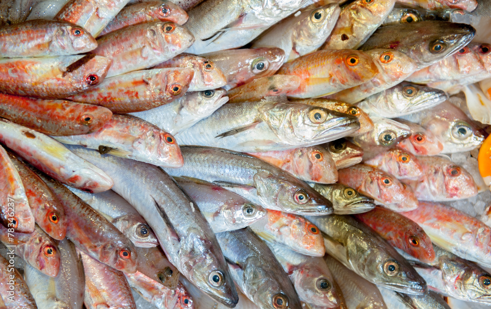 Bunch of fresh fishes displayed in market
