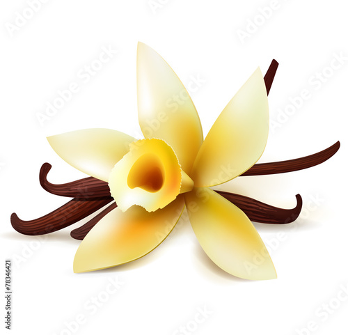 Vanilla flower and pods