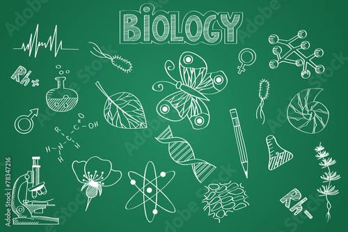 Hand drawn Biology set. Chalk on the blackboard