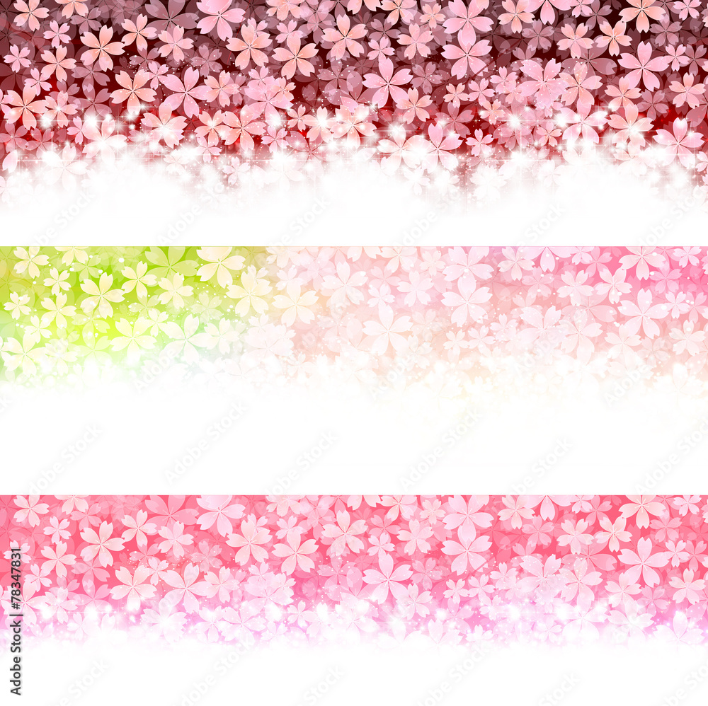 桜 花 背景 桜 花 背景