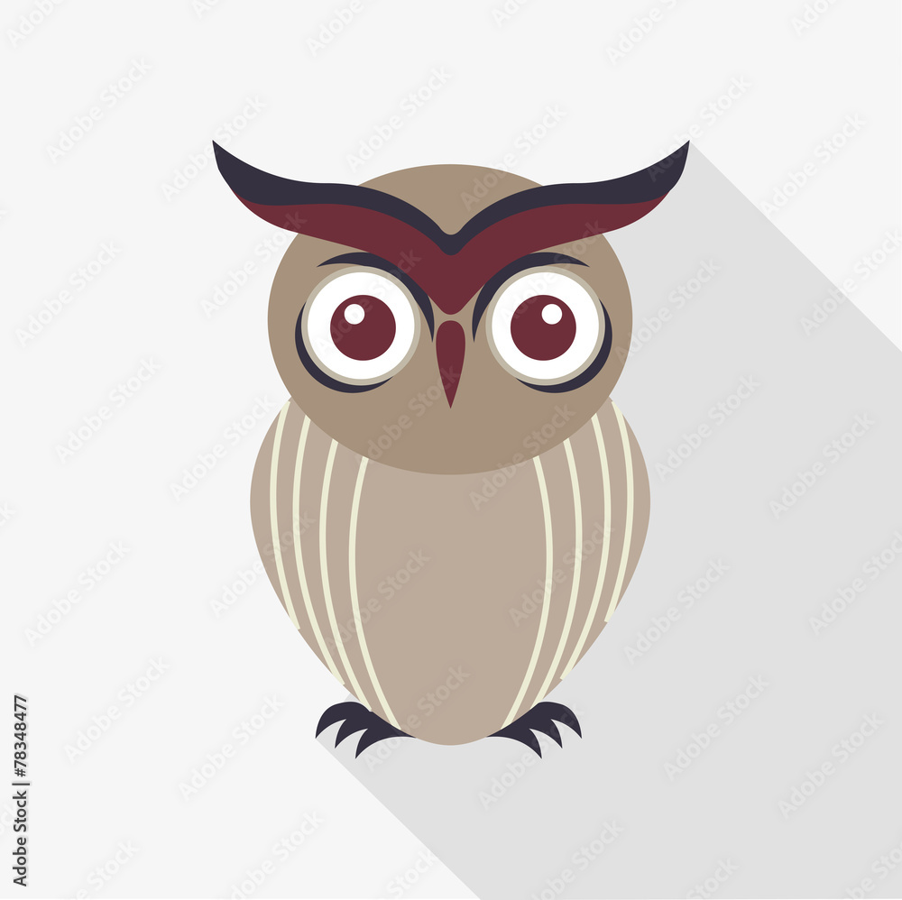 Fototapeta premium owl bird