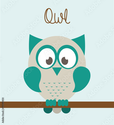 owl bird