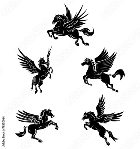 Obraz na plátně Tattoo Symbol Of Horse Wing Tattoo