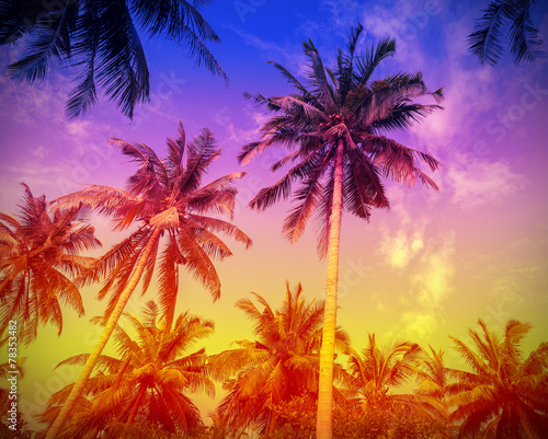 Palm trees at sunset, color toning applied. © MaciejBledowski