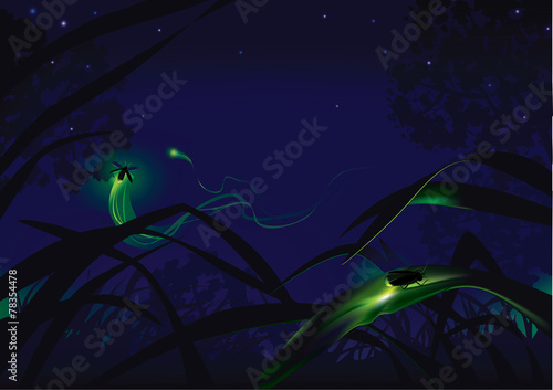Fireflies