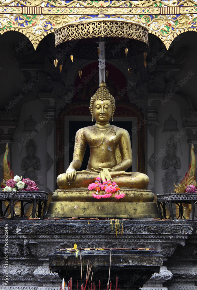 Fototapeta premium 00483