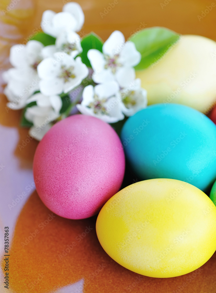Colored easter eggs with white flowers Colored easter eggs with white flowers
