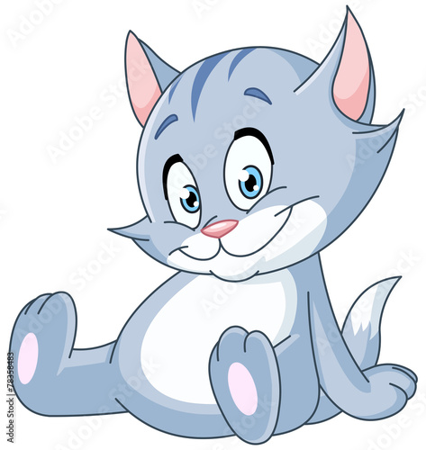 Sitting kitten