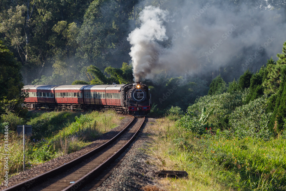Obraz premium Steam Train