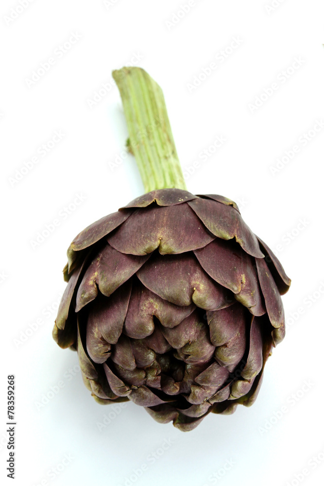Obraz premium artichaut