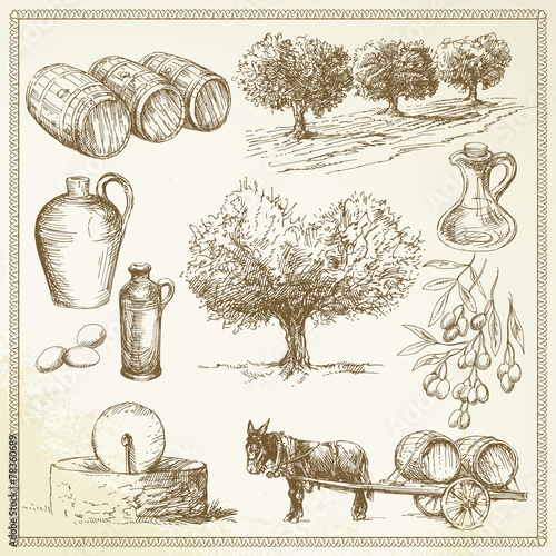 olive - hand drawn set