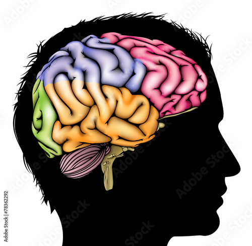 Brain silhouette concept