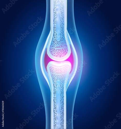 Normal joint anatomy abstract blue design