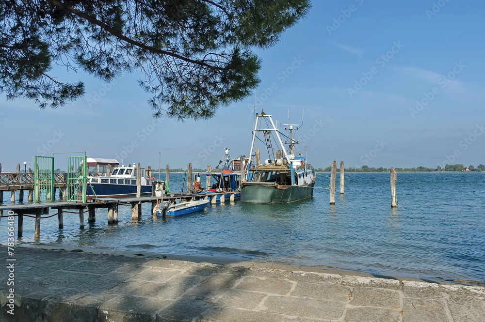 Pontoon and gruise ship anchored in the Venetian lagoon, Italy