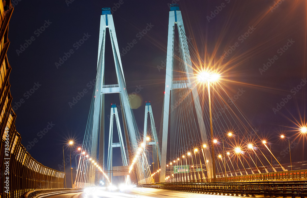 Obraz premium great bridge in St. Petersburg