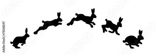 Springende Hasen