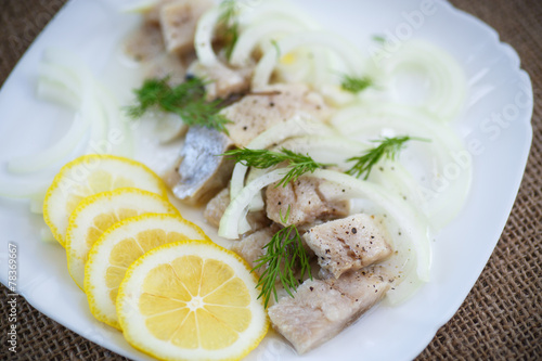 pieces of salted herring with onions