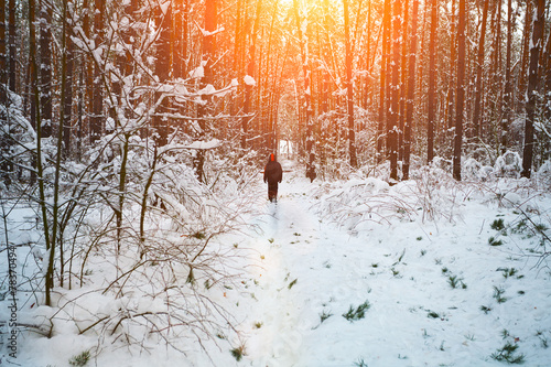 Man walking in snowy forest 