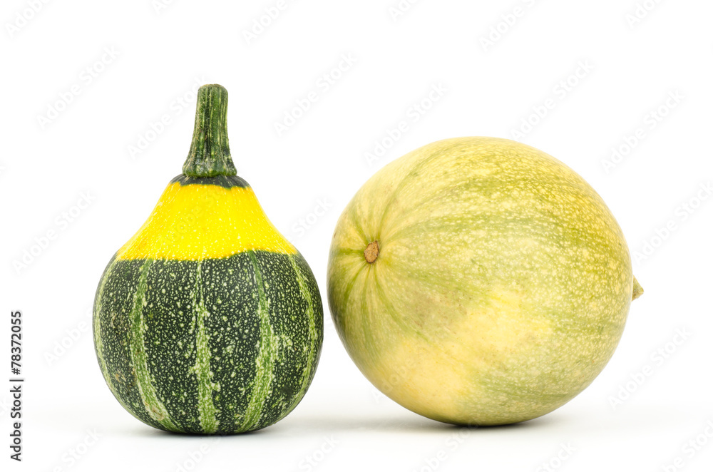 Colorful pumpkins on white background Colorful pumpkins on white background
