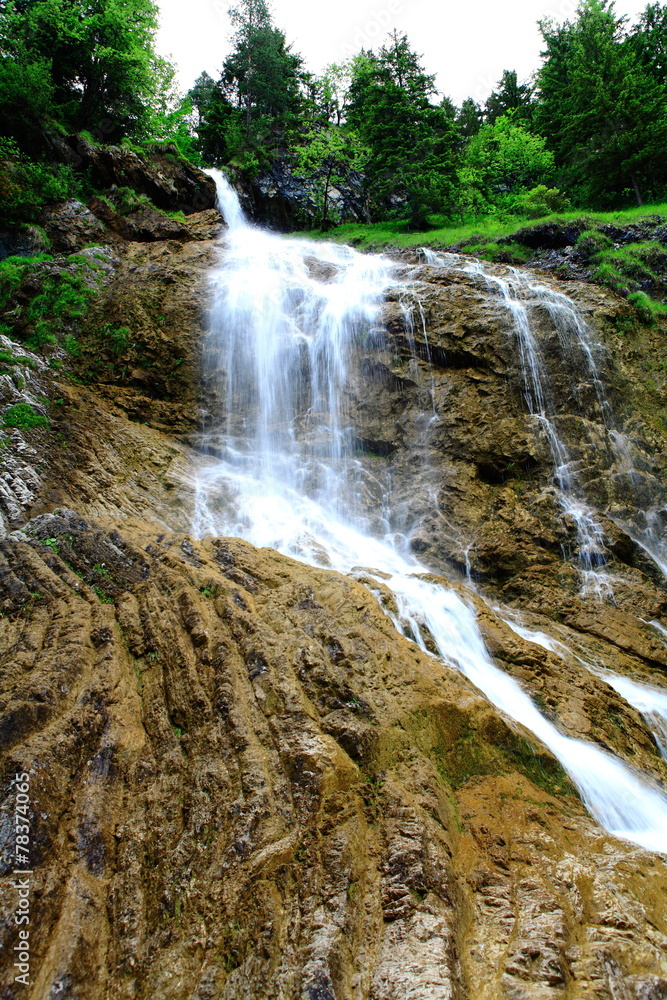 Fototapeta premium Wildbach an der Quelle