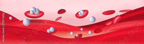 Valokuva Platelets