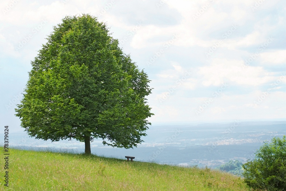 Fototapeta premium Jusiberg Color