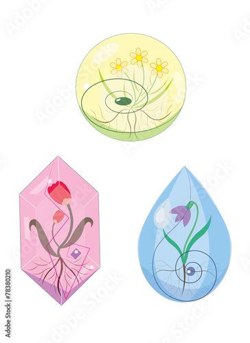 Three spring flowers of the growing.