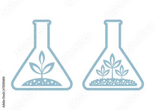 Plant in laboratory glass