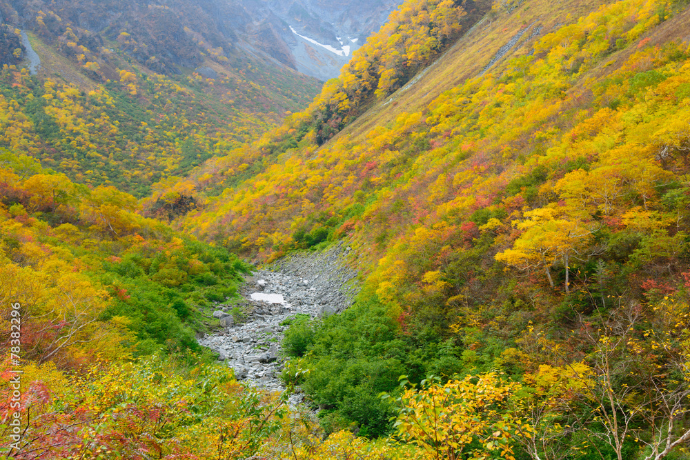 Fototapeta premium Hotaka mountains, Karasawa in Autumn in the Northern Japan Alps